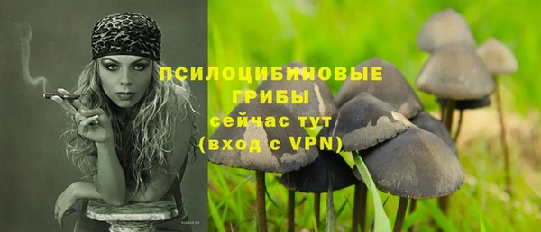 PSILOCYBIN Кодинск