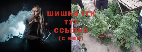 spice Козельск