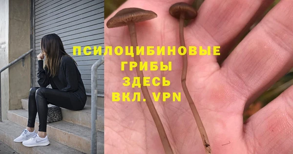 spice Козельск